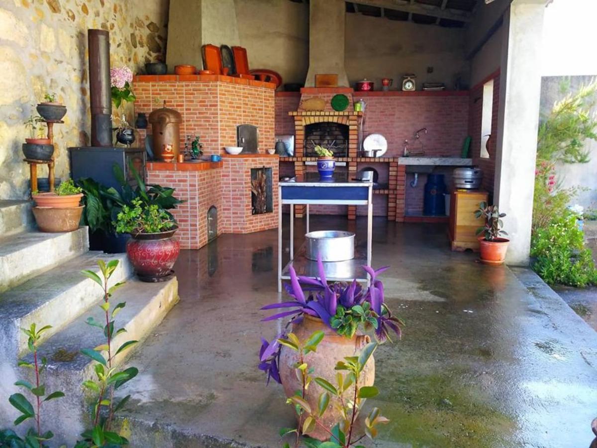 Casa Aurora Villa Penacova Bagian luar foto